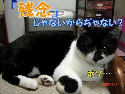 ころ ボソ….jpg