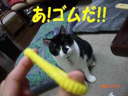 レタッチ ころ3.jpg
