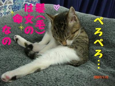 ふぅ　けつくろい.JPG