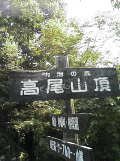 山頂♪