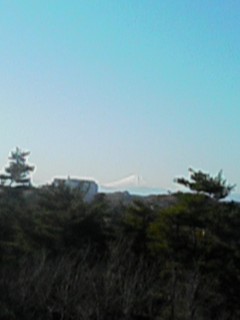 荒幡富士から見る富士山♪