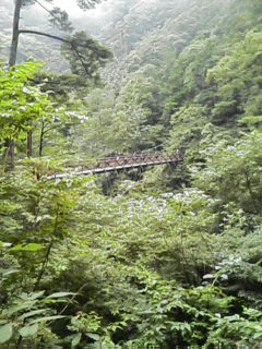 遠くから滝見橋♪