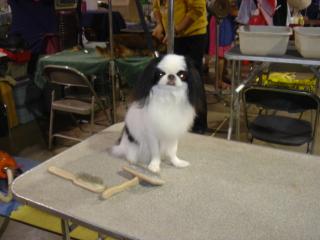 4.22.07dog show 035.jpg