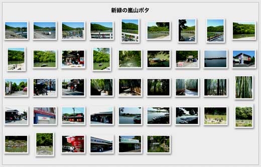 新緑の嵐山ポタ.jpg
