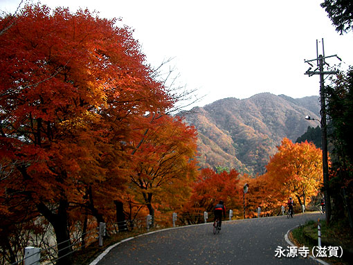 永源寺.jpg