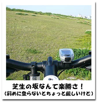 ルイガノ淀川5.jpg