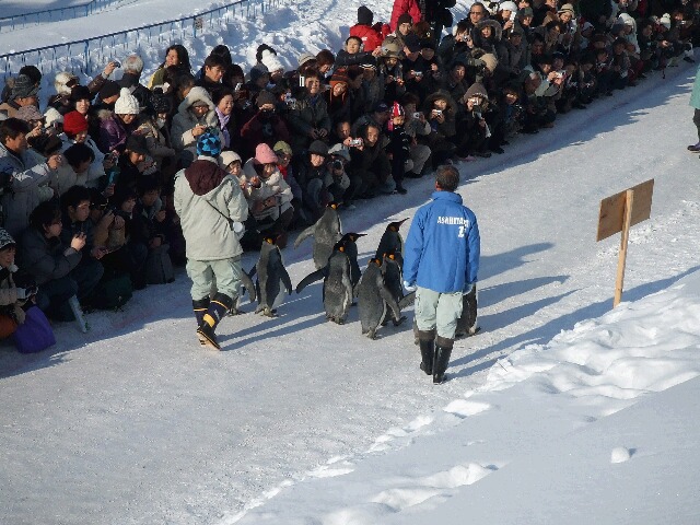 北海道ツアー下見080207-09 015.jpg