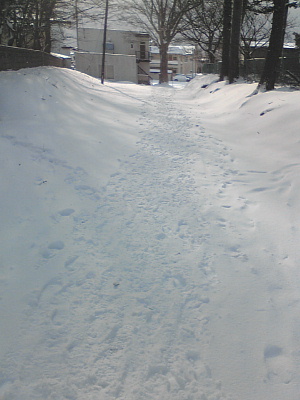 2009・12雪