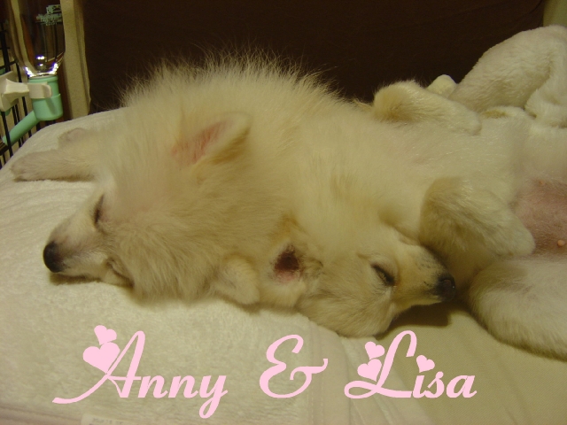 DSC02634 のリサイズ画像.jpg