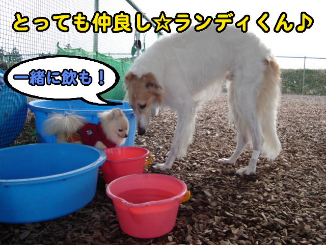 DSC00160.JPG