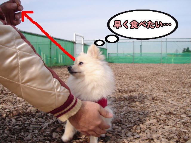 DSC00152.JPG