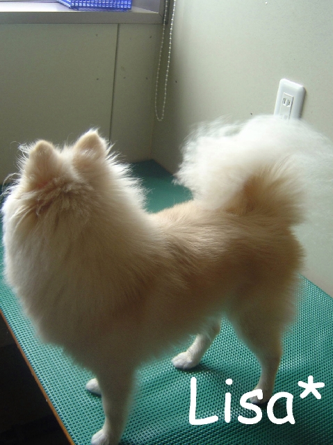 DSC02528 のリサイズ画像.jpg