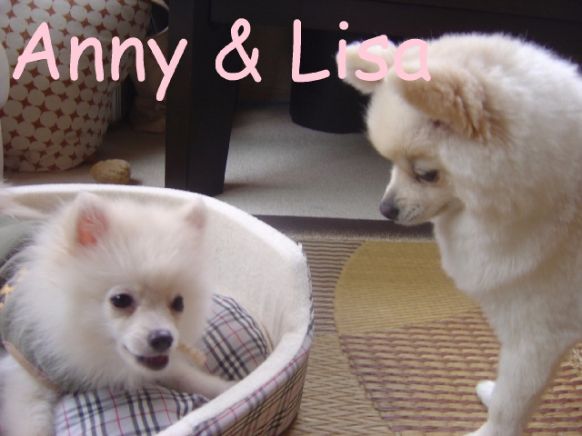 DSC02567 のリサイズ画像.jpg