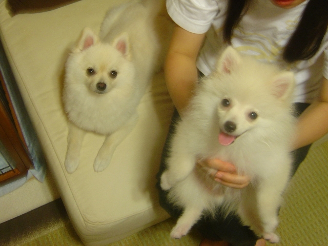 リサとアニー のリサイズ画像.jpg