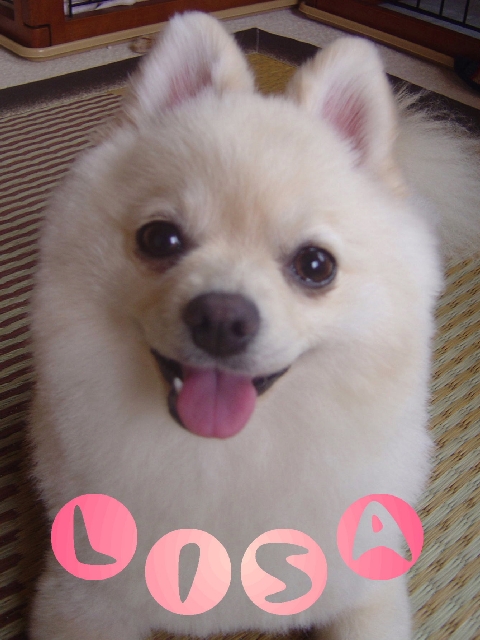 DSC02570 のリサイズ画像.jpg