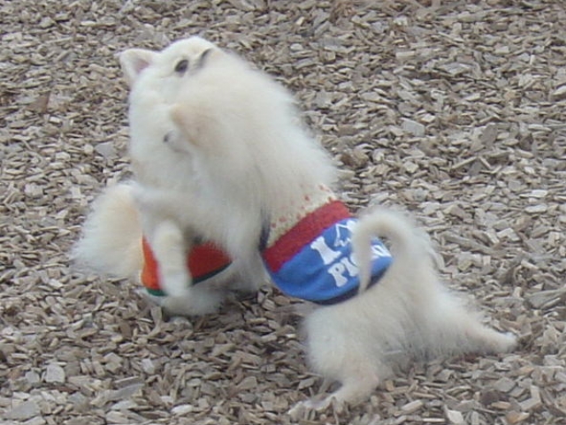 DSC02591 のリサイズ画像.jpg