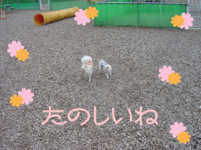 DSC02587 のリサイズ画像.jpg