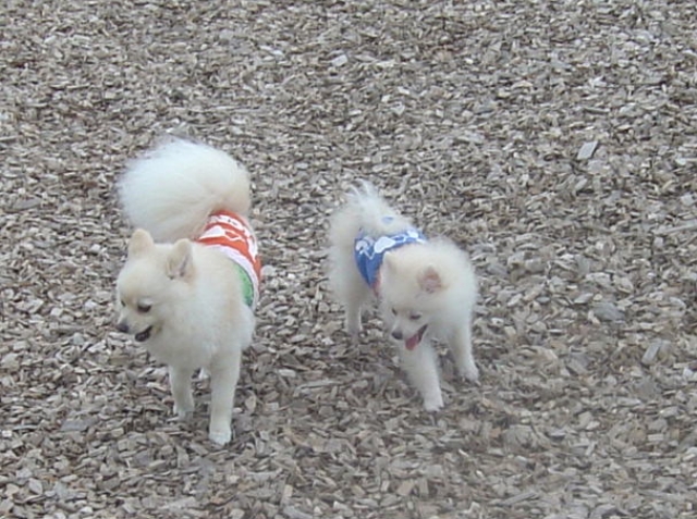 楽しい！ のリサイズ画像.jpg