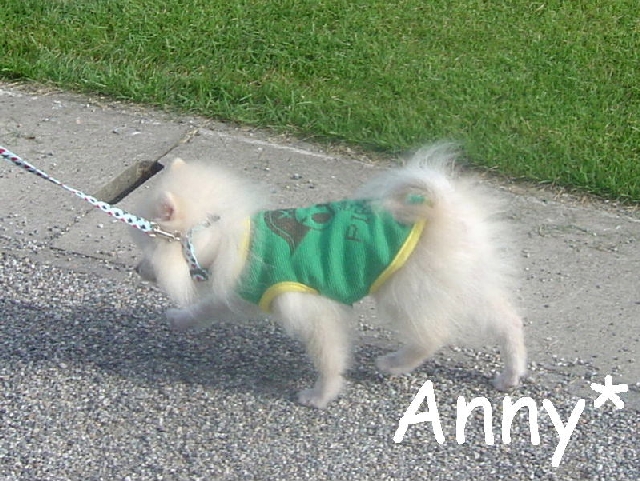 DSC02597 のリサイズ画像.jpg