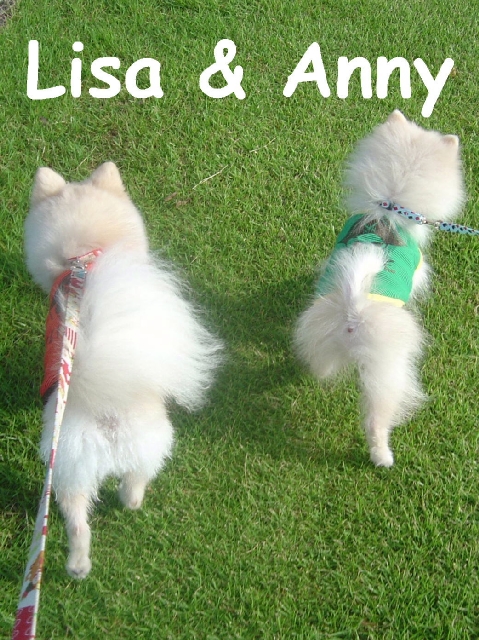 DSC02605 のリサイズ画像.jpg