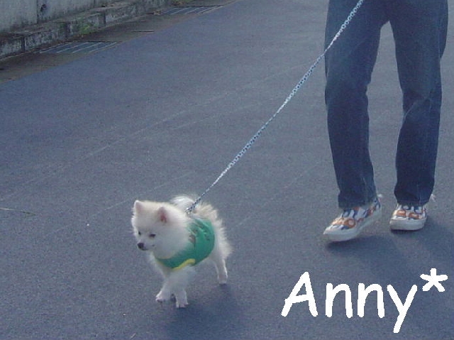 DSC02606 のリサイズ画像.jpg