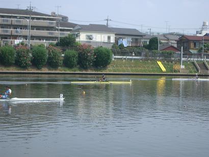 IMGP20093.JPG
