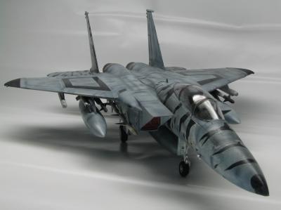 F-15C(10)