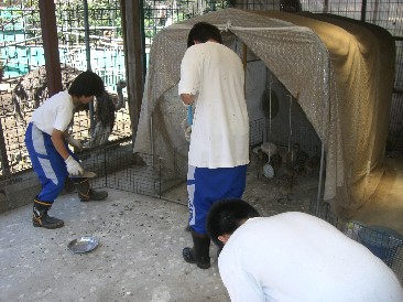 07五中実習２日目C