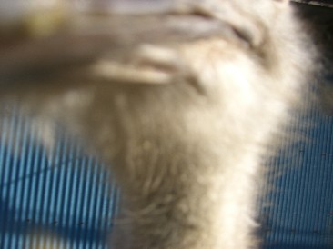 まりんちゃん07.11