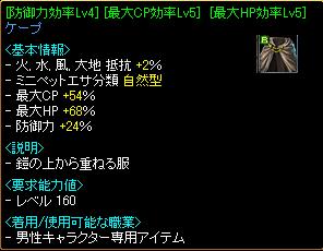 ひっそ装備（100329　背）