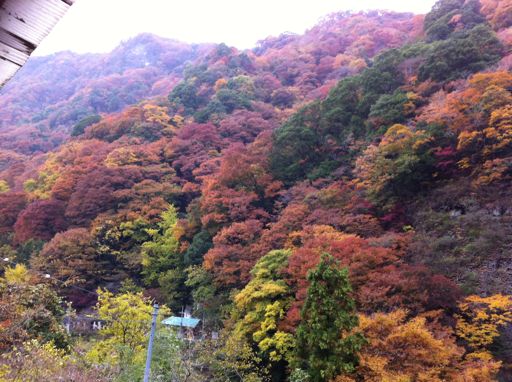 袋田の紅葉１