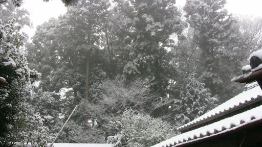 雪2