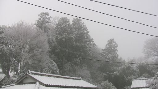 雪7