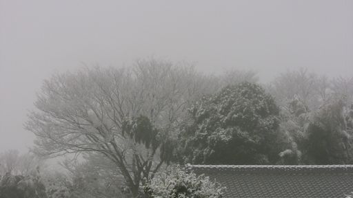 雪8