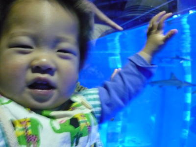 けいこんのゴールデンウィーク５