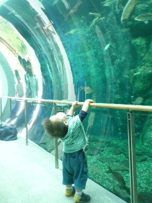 バス遠足けいごん２