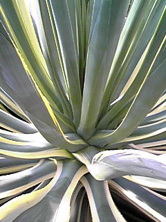 2009-10-13 21:22:20
