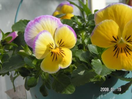 PICT0347.jpg