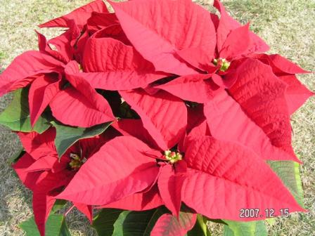 PICT0056.jpg