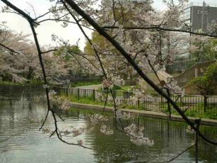 仙台掘川公園(埴輪２）