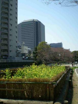 仙台掘川公園３