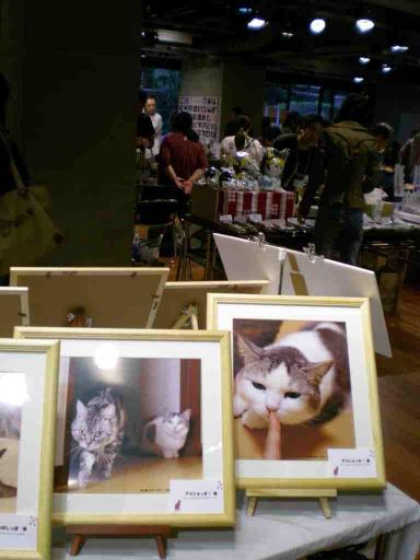 猫の輪ＥＸＰＯ２３