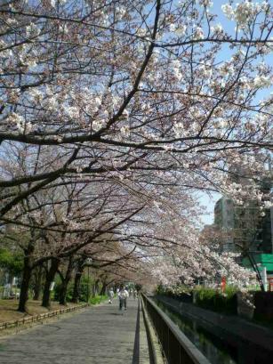 仙台掘川公園１１