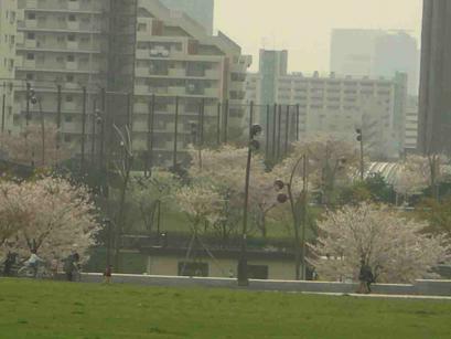 小松川運動公園(建物）