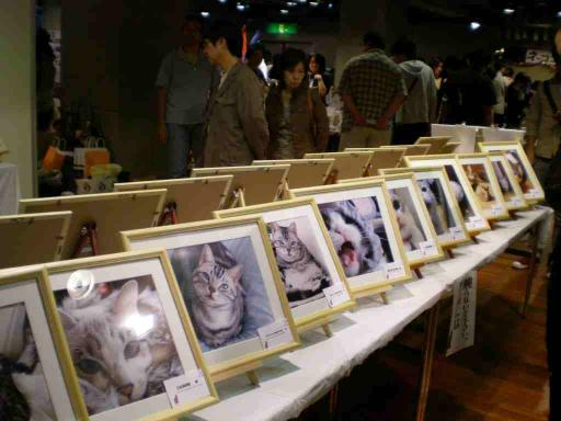 猫の輪ＥＸＰＯ１