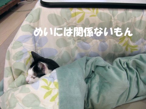 めいは載ってないし…