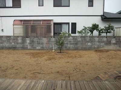 ブロック塀とハイノキ.jpg