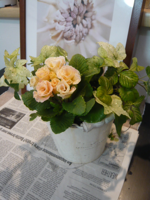 バラ咲きジュリアン×斑入りイチゴ×アイビー白雪姫×斑入りチューリップ