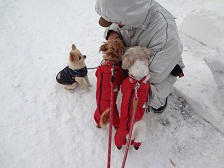858.JPG