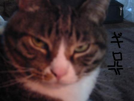ギロ